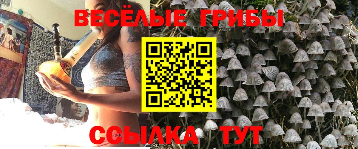 КОКАИН  ЭКСТАЗИ  Меф кристаллы  Михайловка  Марихуана  Вход с VPN  ГАШ  Лсд 25 