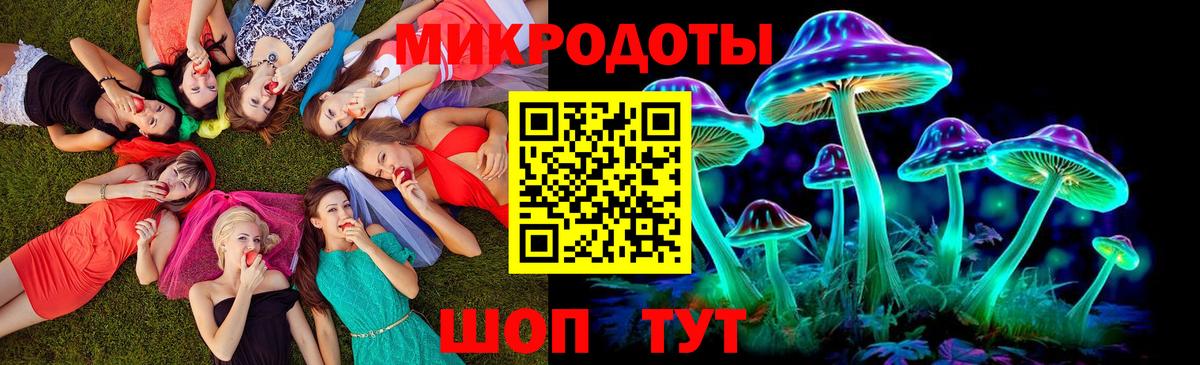 Псилоцибиновые грибы Cubensis Михайловка